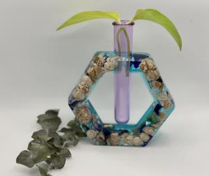Seashell Bud Vase/Propagation Station- Hexagon