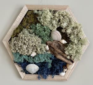 Mossy Seashore